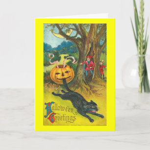 Scare-Dy Cat Halloween Greeting Card