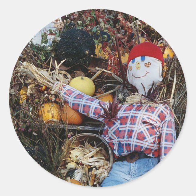 Scarecrow Decoration Classic Round Sticker (Front)