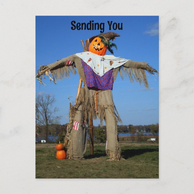 Scarecrow Halloween Holiday Postcard (Front)