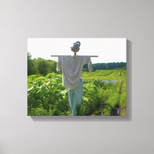 Scarecrow In Garden Field  Canvas Print