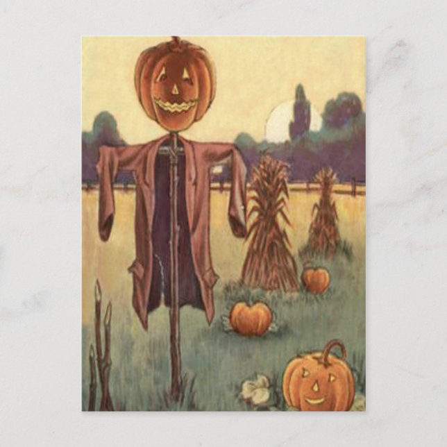 Scarecrow Jack O Lantern Pumpkin Postcard (Front)