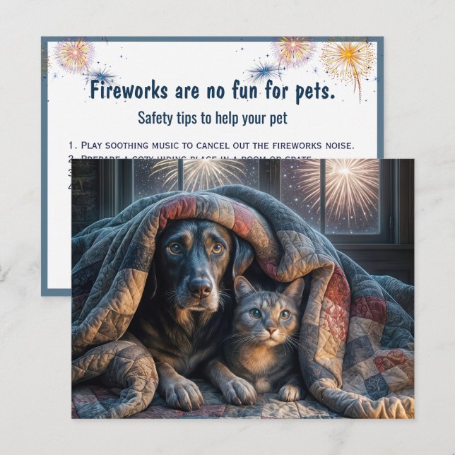 Scared Dog and Cat Watching Fireworks Postcard (Front/Back)