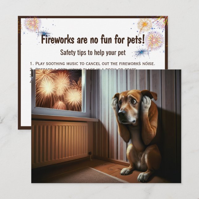 Scared Dog Watching Fireworks Postcard (Front/Back)
