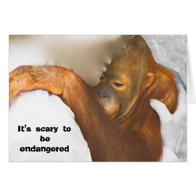 Scared Endangered Orangutan (Front Horizontal)