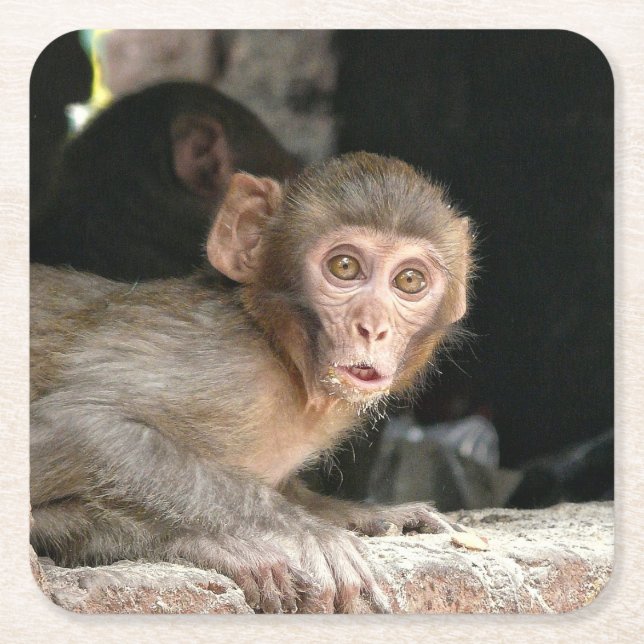 Scared monkey with big eyes coaster (Front)