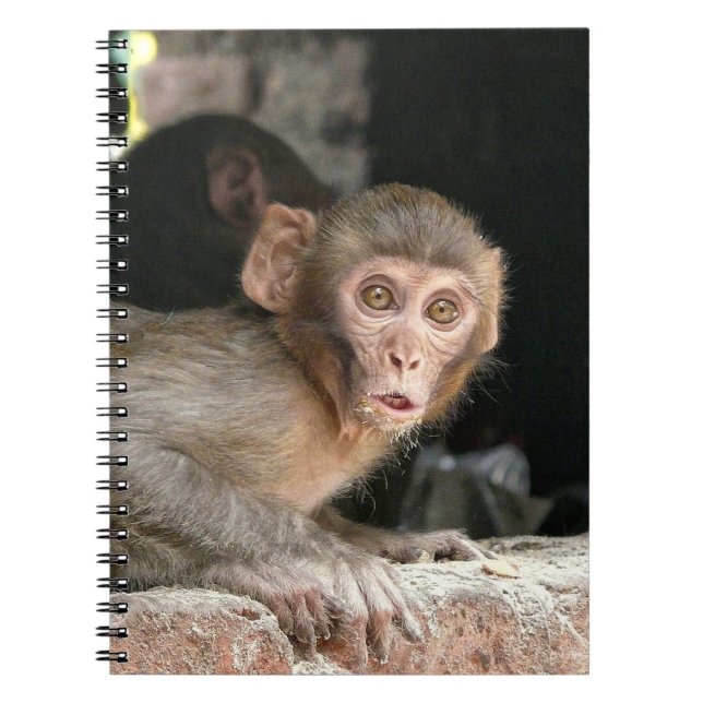 Scared monkey with big eyes notebook (Front)