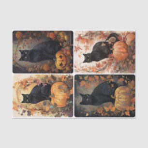 Scaredy Cat Tissue Paper