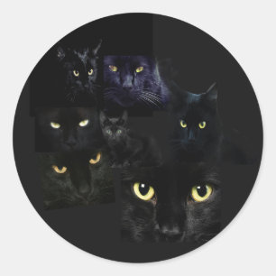 Scaredy Cats Sticker
