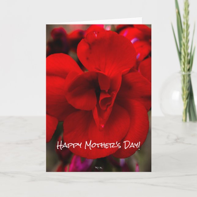 Scarlet Begonias Card (Front)