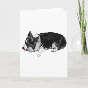 scarlet calm wish, corgi card