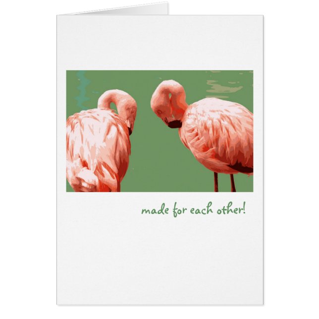 Scarlet Flamingo (Front)