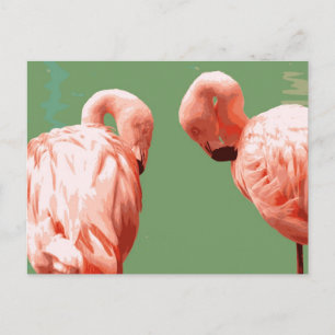 Scarlet Flamingo Postcard