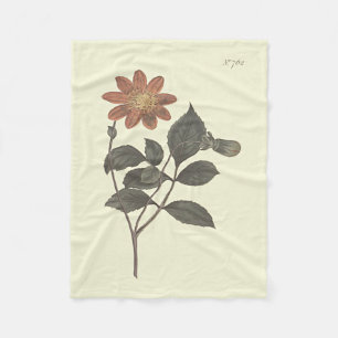 Scarlet Flowered Dahlia Botanical Illustration Fleece Blanket
