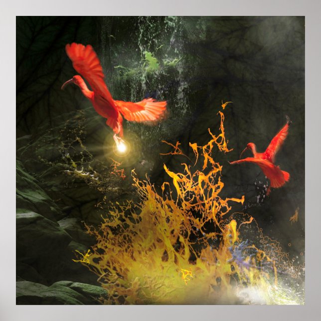 Scarlet Ibis Birds “STEALING THE LIGHT” Poster (Front)