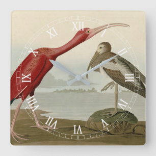 Scarlet Ibis - from Audubon's Birds of America Square Wall Clock