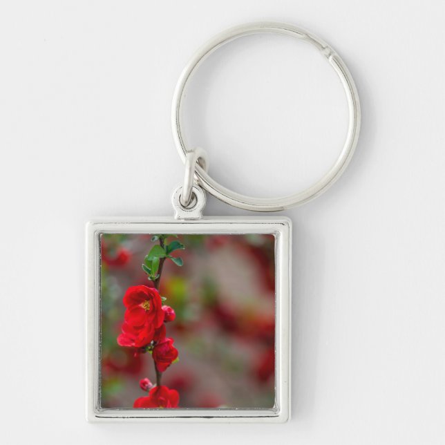 Scarlet Line Keychain (Front)