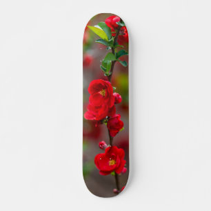 Scarlet Line Skateboard