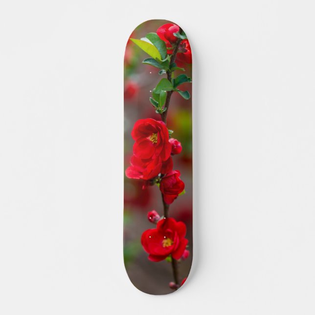 Scarlet Line Skateboard (Front)