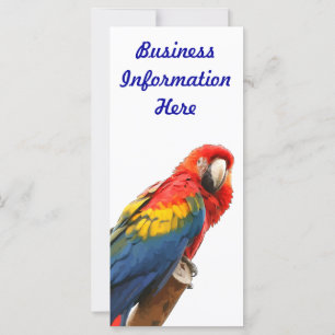 Scarlet Macaw 2012 Calendar Bookmark Rack Card