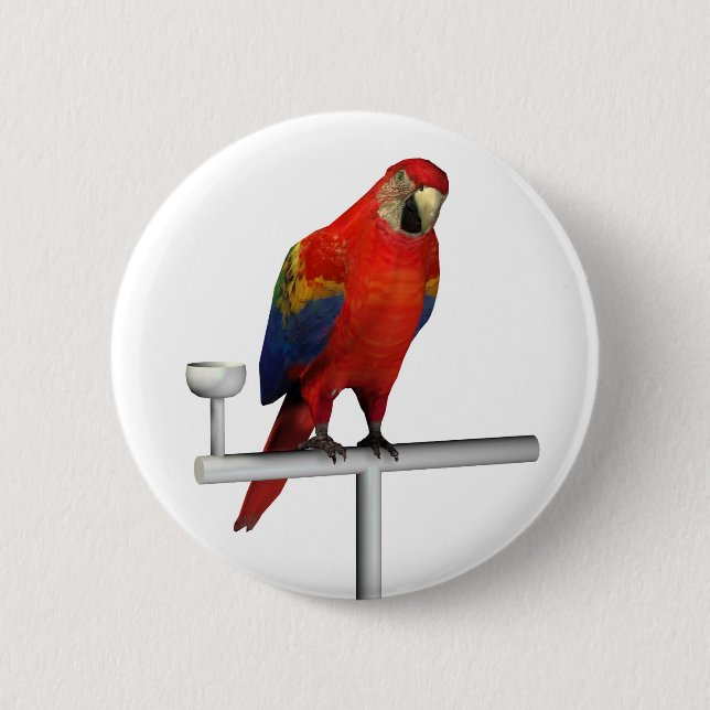 Scarlet Macaw 2 Inch Round Button (Front)