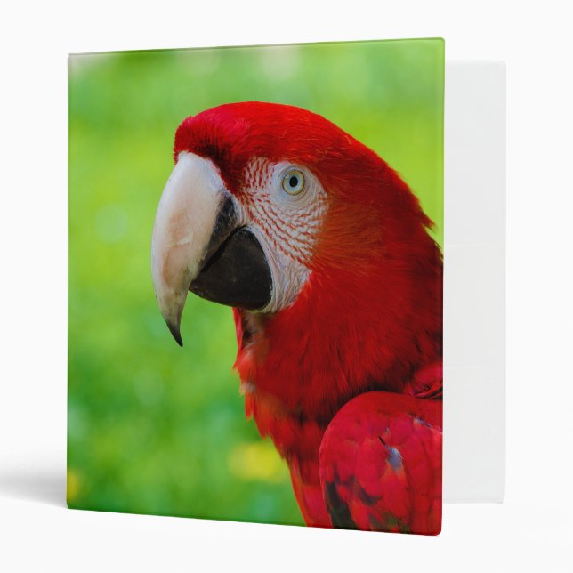 Scarlet Macaw Ara Macao American Parrot Binder (Front/Inside)
