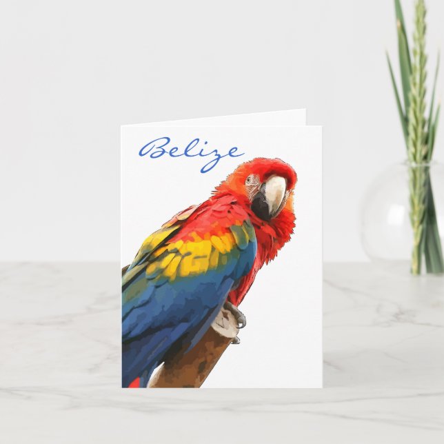 Scarlet Macaw Belize Note Card (Front)