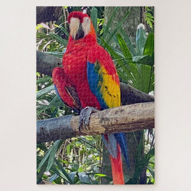 Scarlet Macaw Costa Rica Jigsaw Puzzle (Vertical)
