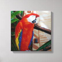 Scarlet Macaw Exotic Wildlife Bird Jungle Art