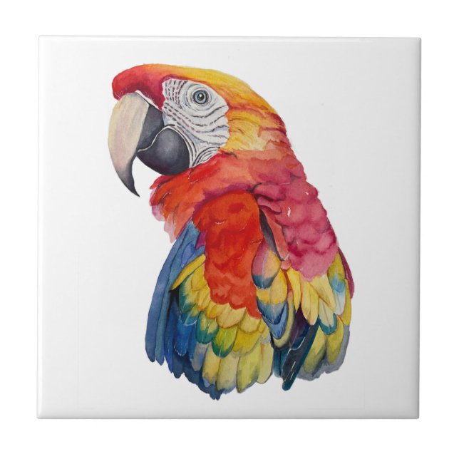Scarlet Macaw – Expressive Watercolor Bird Art Tile (Front)