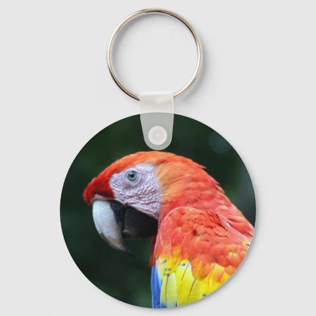 scarlet macaw face keychain (Front)