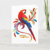 Scarlet Macaw