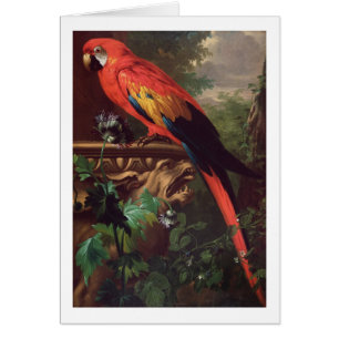 Scarlet Macaw in a Landscape (oil on canvas)
