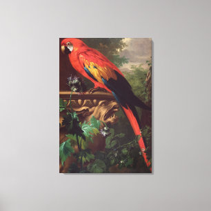 Scarlet Macaw in a Landscape (oil on canvas) Canvas Print