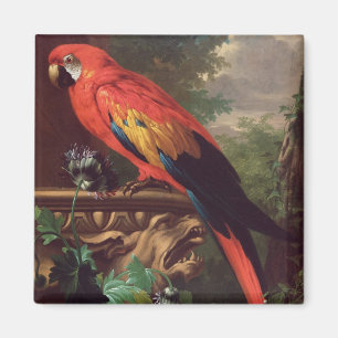 Scarlet Macaw in a Landscape (oil on canvas) Magnet