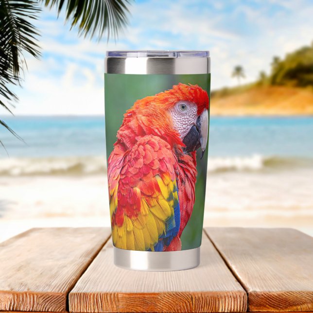 Scarlet Macaw Insulated Tumbler (Beach (Rotated))