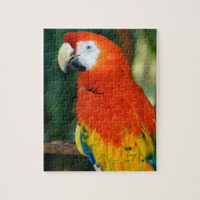 Scarlet Macaw Jigsaw Puzzle (Vertical)