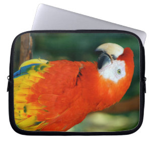 Scarlet Macaw Laptop Sleeve