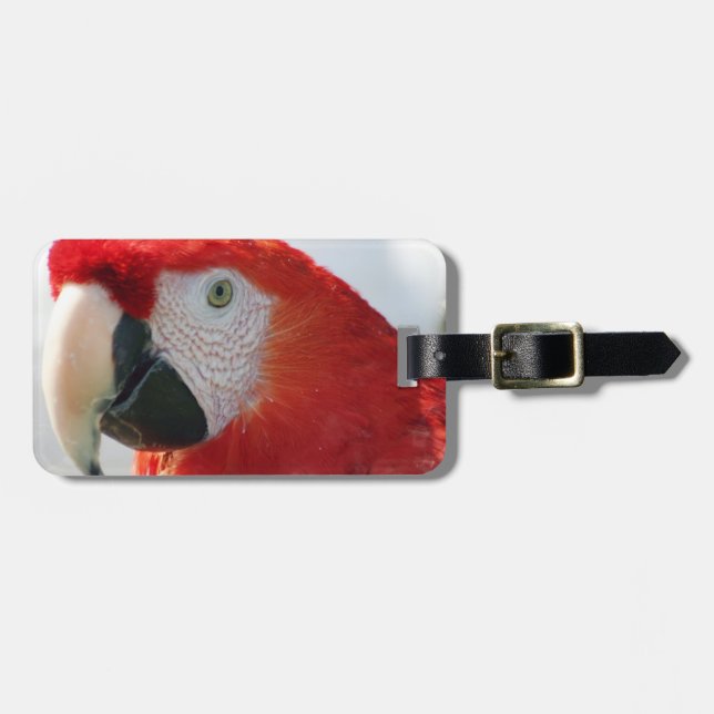 Scarlet Macaw Luggage Tag (Front Horizontal)
