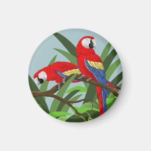 Scarlet Macaw Magnets