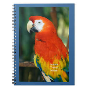 Scarlet Macaw Notebook