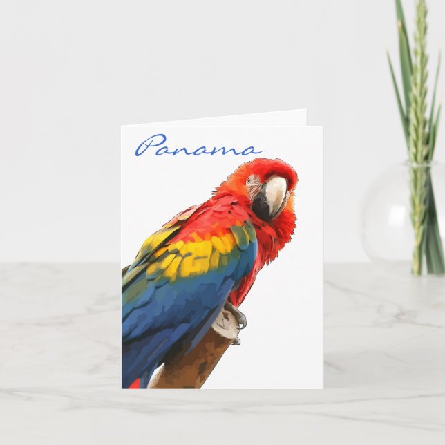 Scarlet Macaw Panama Note Card (Front)