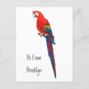 Scarlet macaw parrot cartoon illustration postcard