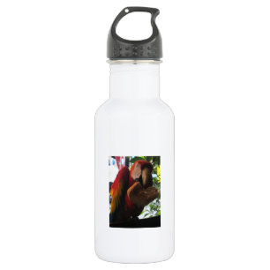 Scarlet Macaw Parrot Eating Toast 532 Ml Water Bottle