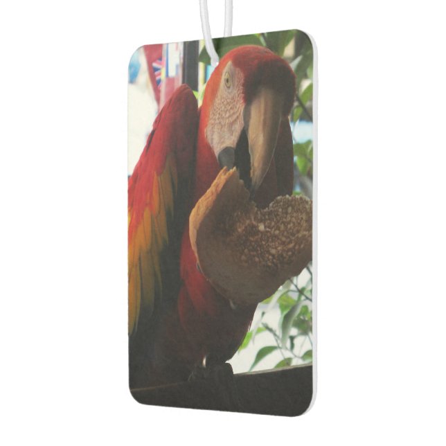 Scarlet Macaw Parrot Eating Toast Air Freshener (Left)