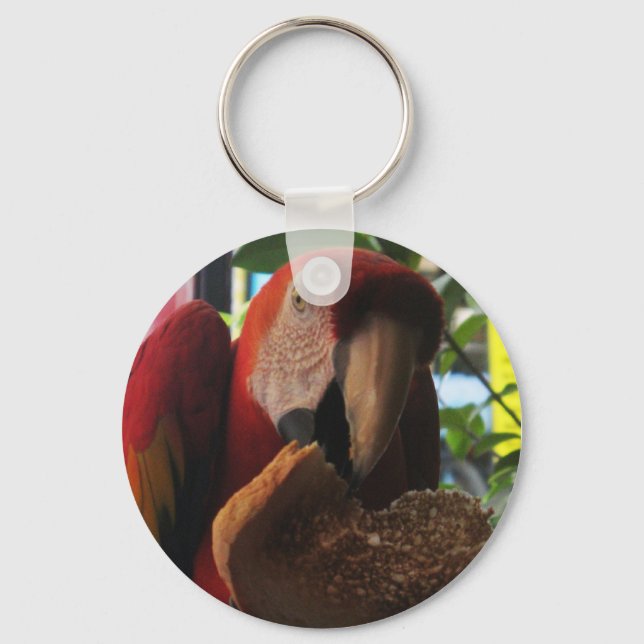 Scarlet Macaw Parrot Eating Toast Keychain (Front)