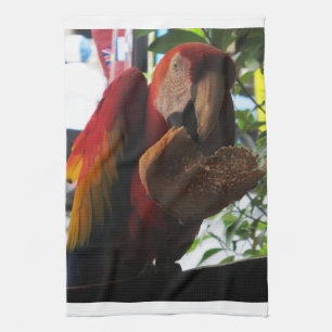 Scarlet Macaw Parrot Eating Toast Kitchen Towel