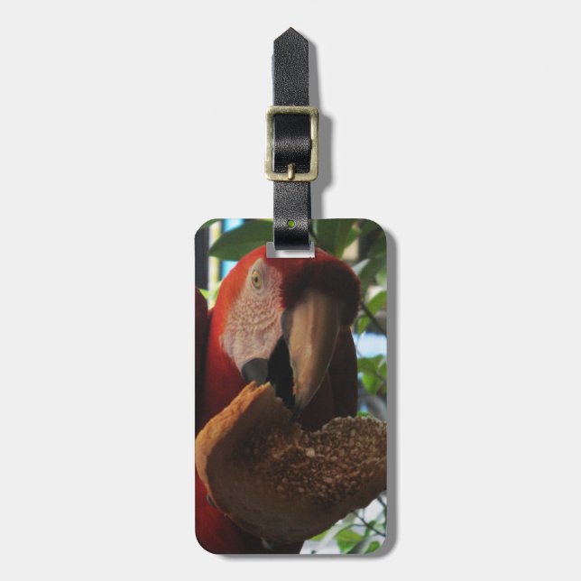Scarlet Macaw Parrot Eating Toast Luggage Tag (Front Vertical)