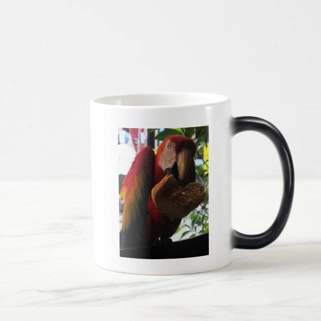 Scarlet Macaw Parrot Eating Toast Magic Mug (Right)