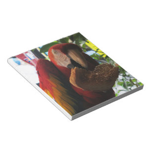 Scarlet Macaw Parrot Eating Toast Notepad