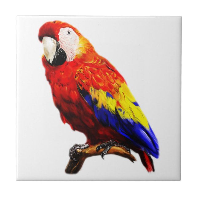 Scarlet Macaw Parrot on A Branch Tile (Front)